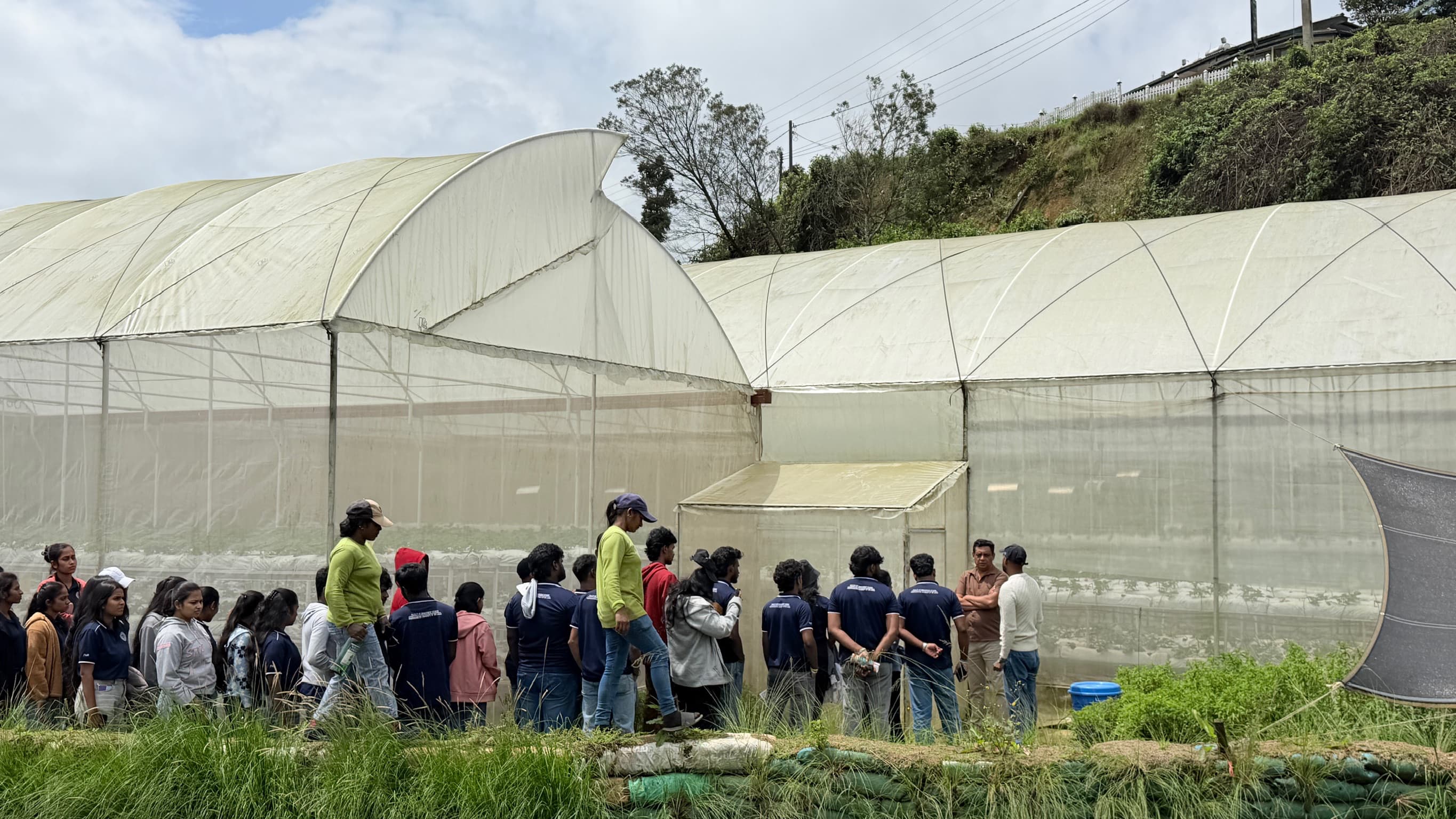 Green Apron organic farm, Nuwara Eliya