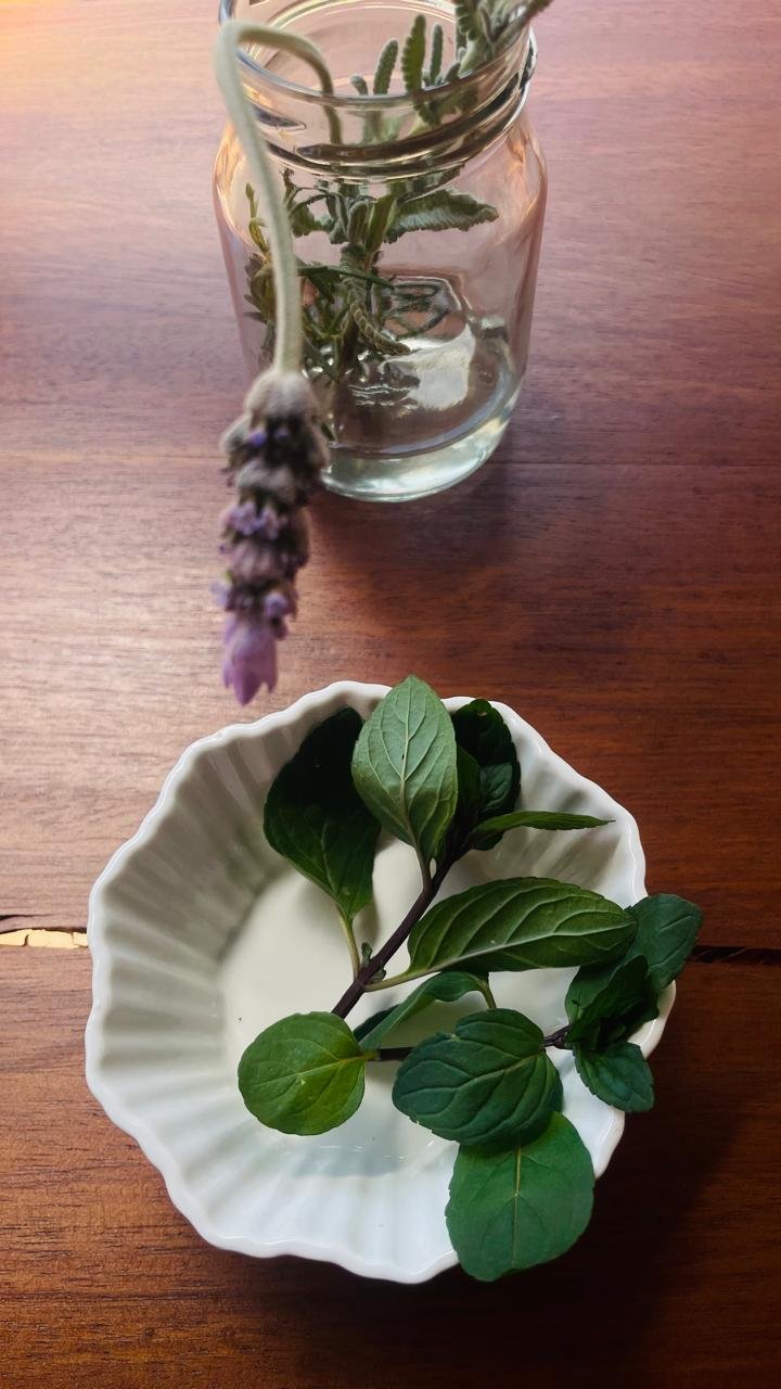 Peppermint