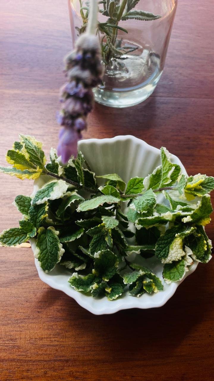 Pineapple Mint