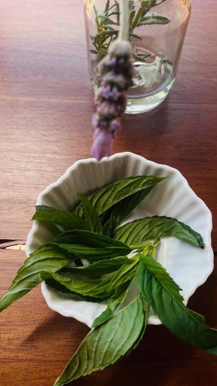 Spearmint