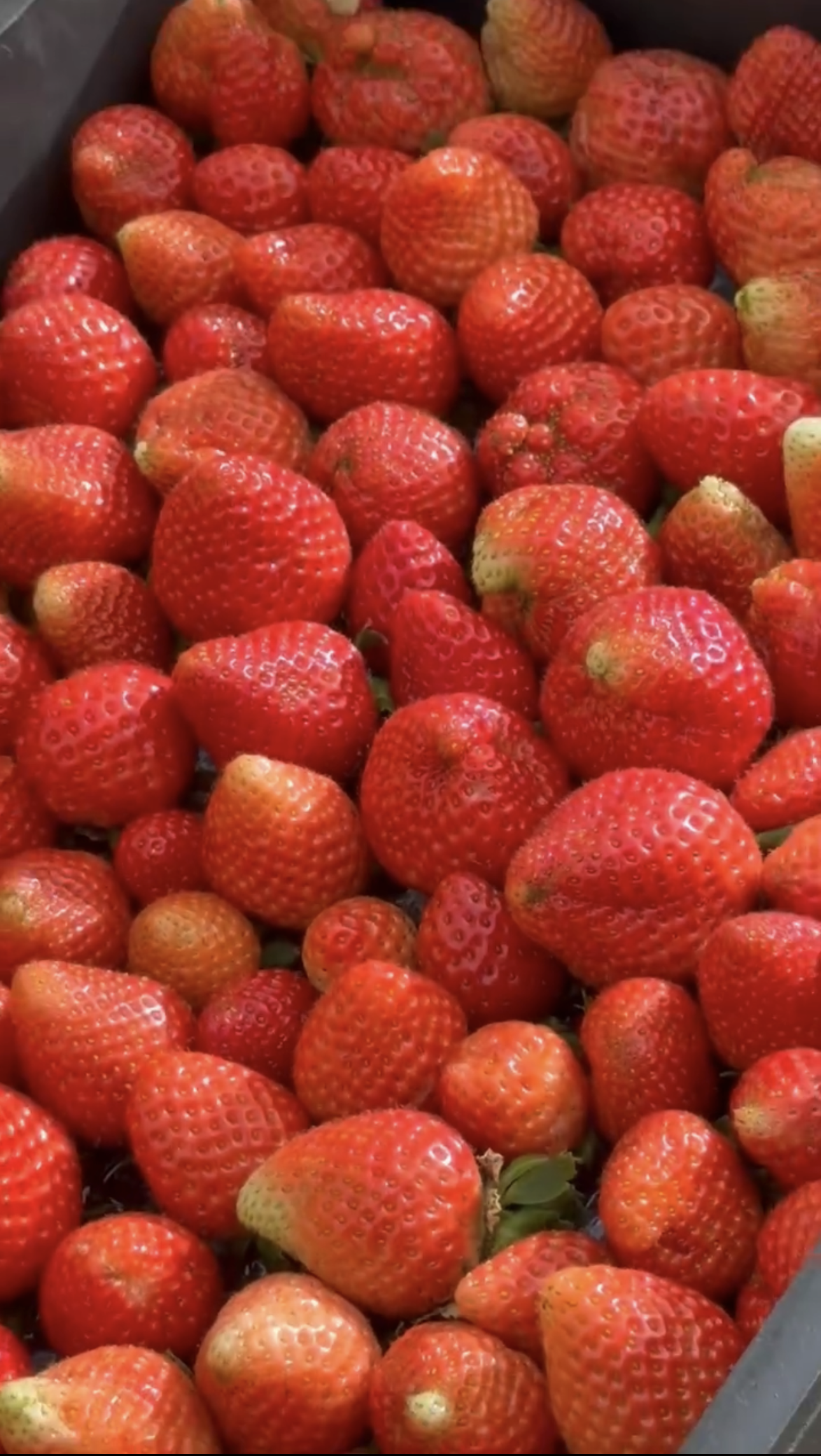 Strawberry