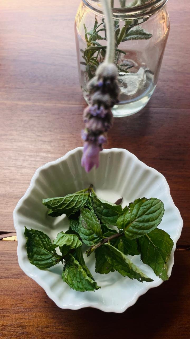 Apple Mint